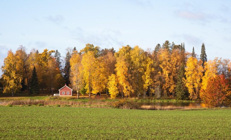 How a Move to Finland Revitalized My Happiness at 55 ¤