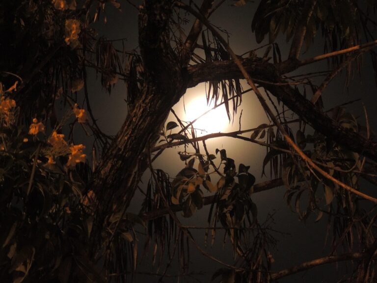 Armenia Faces Growing Pressure Amid Escalating Iran-Israel Conflict Disrupting Regional Stability