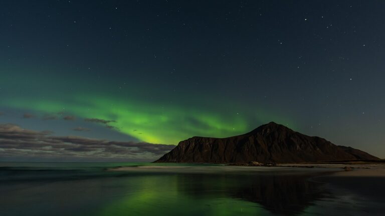 From Georgia’s Fields to Norway’s Global Seed Vault: Safeguarding the Future of Our Food