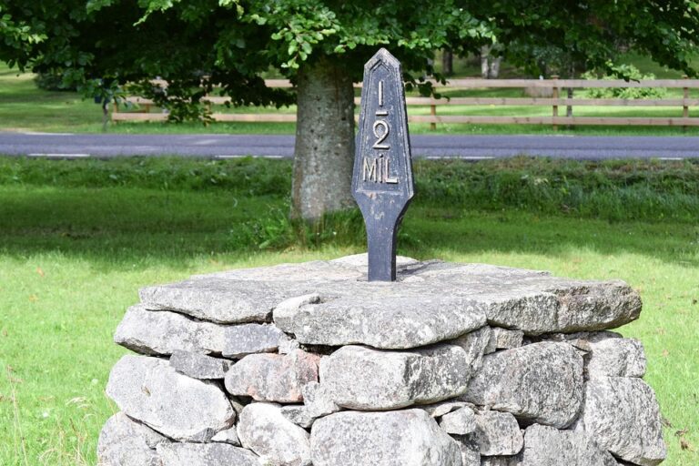 Andersson says Olympic opportunity with Sweden would ‘mean the world to me’ – NHL.com