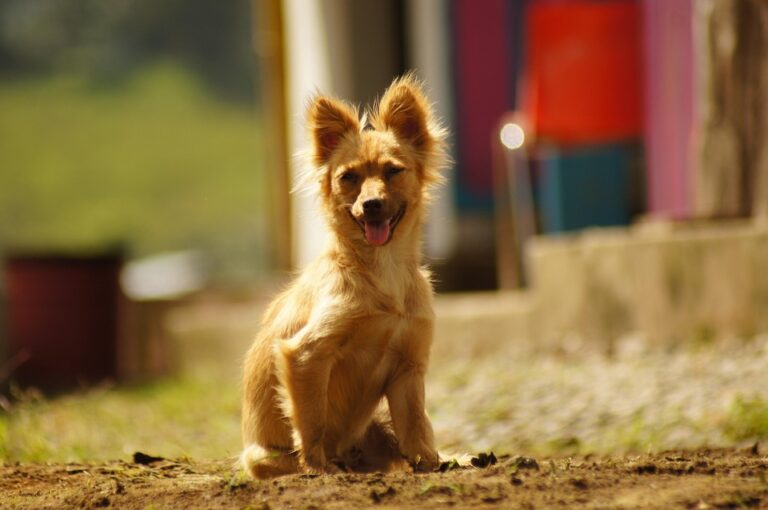 Armenia’s Security Council Secretary Holds Key Talks with Iranian Counterpart in Tehran