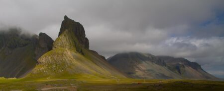 Iceland’s Mosquito Problem May Be a Scary Sign of Things To Come – Green Matters
