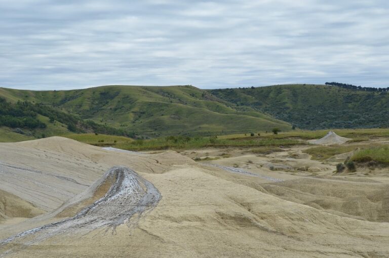 Inside the World’s Largest Cat Show: 1,000 Felines and Their Fans Unite in Romania