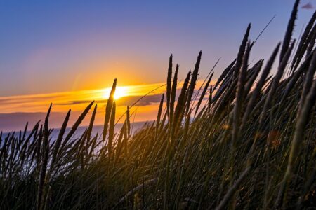 Zakharova cites Greece over Cyprus and North Macedonia disputes – eKathimerini.com