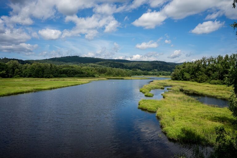 Paris Peace Forum: PM Pashinyan meets Moldova’s Sandu – Armenpress