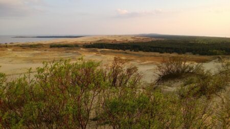 Lithuanian Foreign Minister Rejects Lukashenko’s Proposal for Border Talks