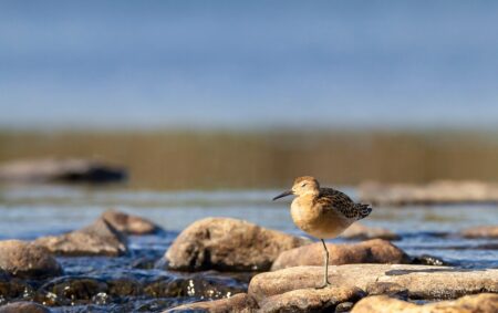 Finland Takes on Russia Once More-This Time in an Epic New Film
