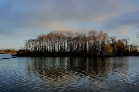 China Set to Ease Chip Export Restrictions to Europe After Dispute with Netherlands