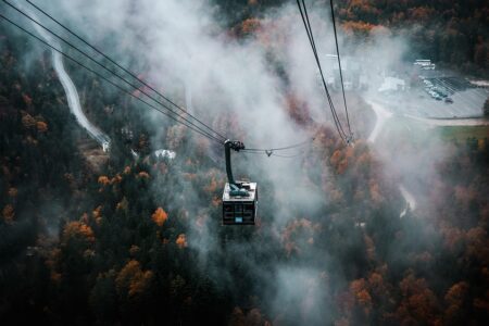 Giant Animal-Shaped Electricity Pylons Transform Austria’s Power Lines