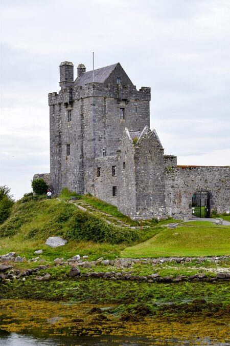 Step-by-Step Guide to Launching Digital Guest Punch Cards in Ireland