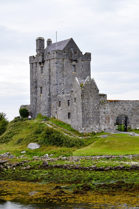 Step-by-Step Guide to Launching Digital Guest Punch Cards in Ireland