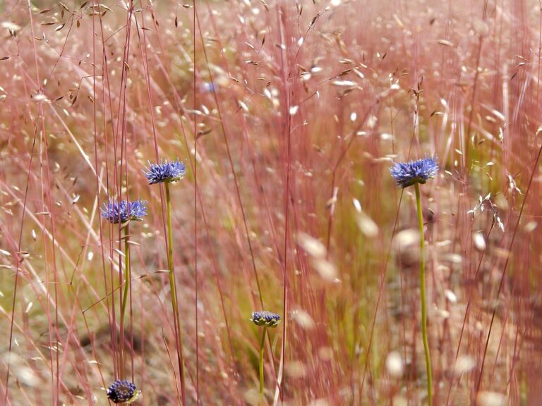 Lithuania to Shoot Down Smuggler Balloons and Close Border Crossings with Belarus