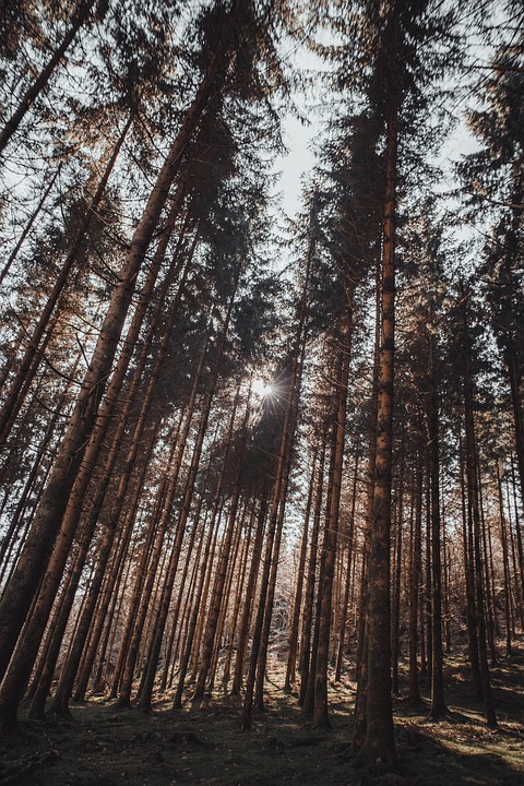 Argentina U17 Triumphs Over Belgium 3-2 in Thrilling World Cup Debut