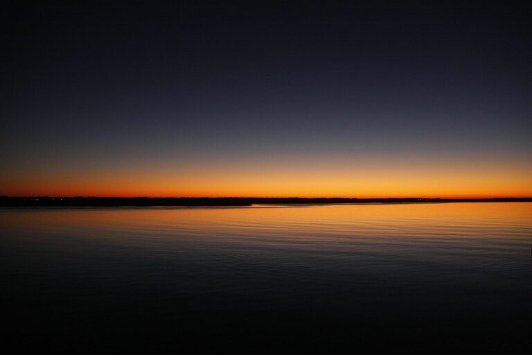 Despite Another Sham Election in Georgia, Citizens Continue to Stand Strong