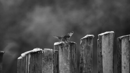 Armenia Makes Significant Strides Toward Meeting International Resource Standards