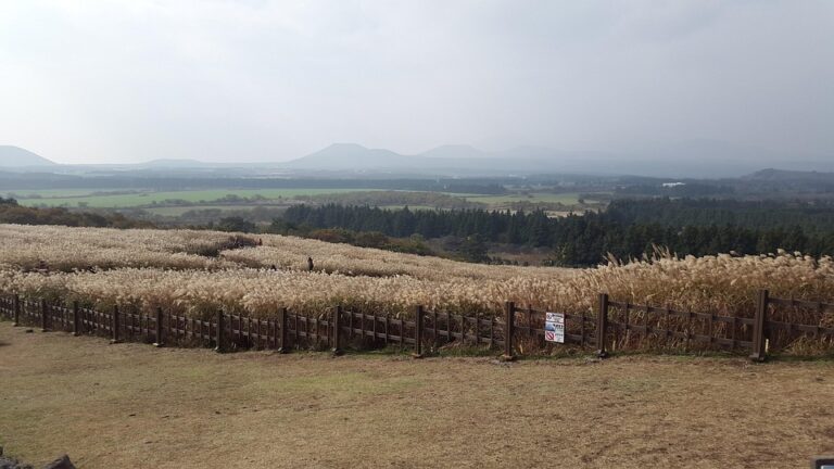 Beginner’s Guide to Buying Stocks in Åland Islands in 2025