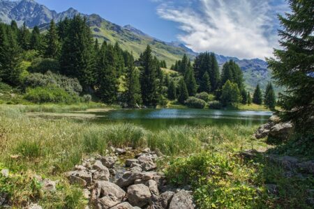 Swiss Scientists Develop Grain-of-Sand-Sized Nanorobots That Could Revolutionize Medicine