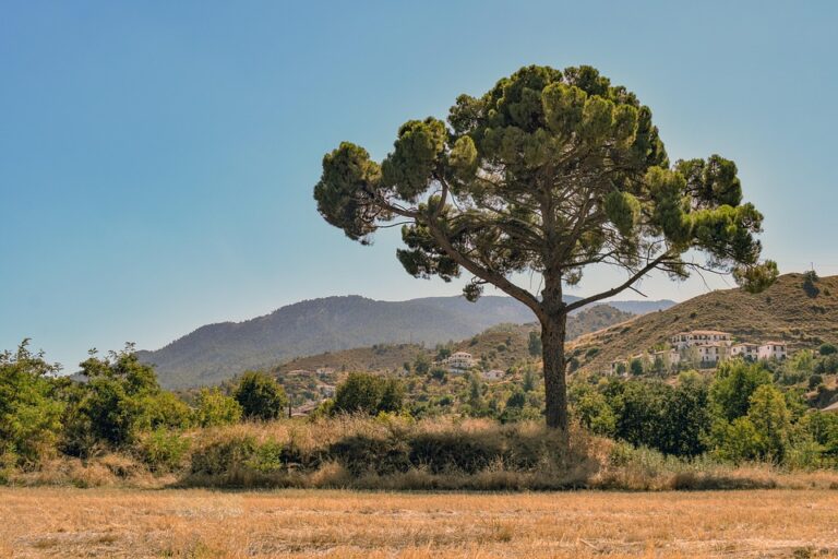 Fitch Upgrades Cyprus Outlook to Positive, Affirms Strong ‘A-‘ Rating