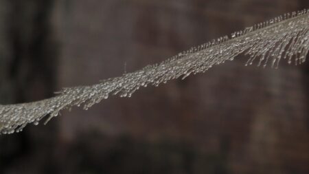 Armenia and Georgia Foreign Ministers Engage in Key Discussions on Regional Challenges