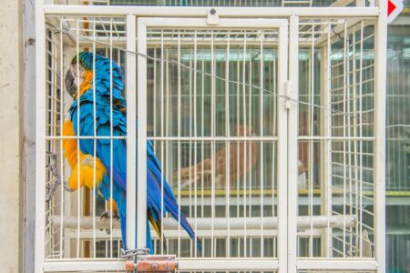 Inside the Latest Russia-Ukraine Peace Plan Following US-Kyiv Talks