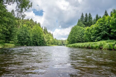 Portugal Release Their Junior Eurovision Entries – Eurovoix