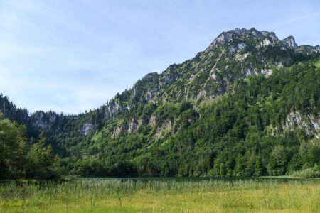 Cargill Boosts Micronutrient Production with Major Facility Expansion in Austria