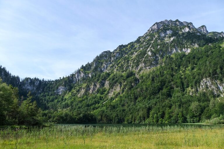 Cargill Boosts Micronutrient Production with Major Facility Expansion in Austria