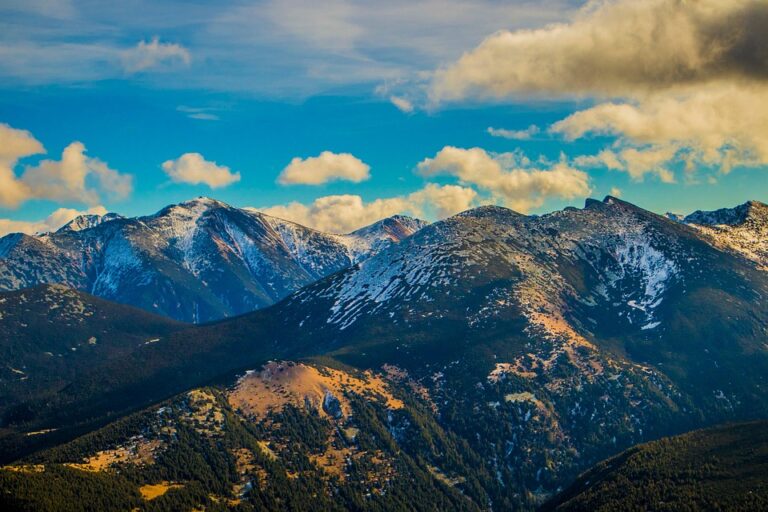Yellow Alert Issued for Strong Winds Sweeping Eastern and Southeastern Bulgaria