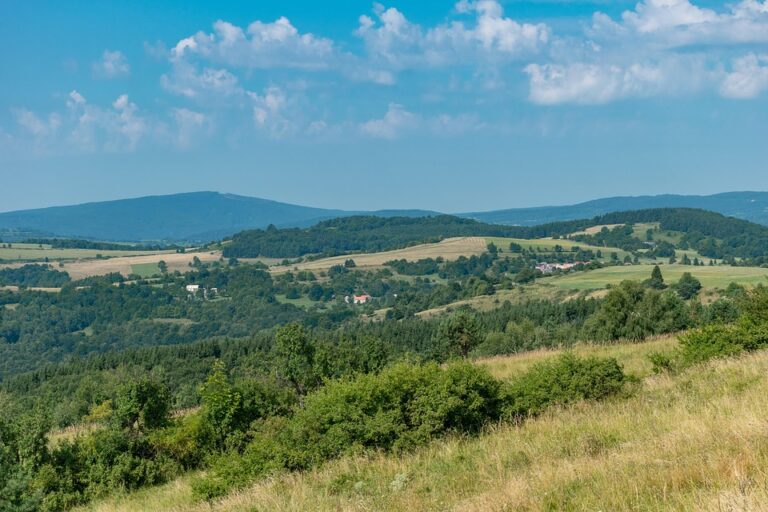 Dvorsky, Honzek projected to make 2026 Slovakia Olympic roster, NHL.com predicts – NHL.com