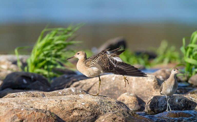 Discover Europe’s Top Travel Destinations for 2026: Germany, Spain, France, and More!