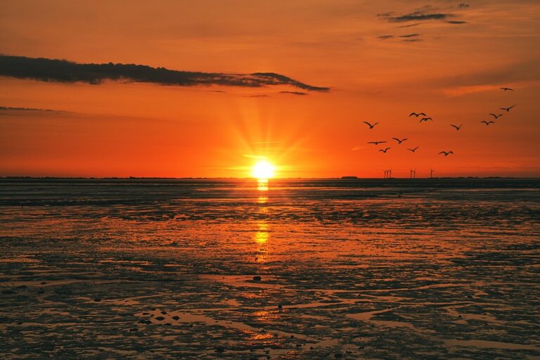 EU draft conclusions on North Macedonia: Constitutional changes first, then intergovernmental conference without delay – bgnes.com