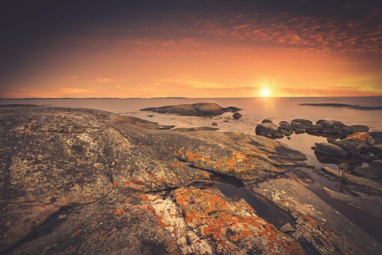 Sweden’s Re:meat Transforms into Curve to Drive Affordable, Large-Scale Biomanufacturing