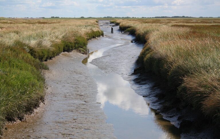 Trial begins over North Macedonia nightclub fire that killed 63 – ThePrint