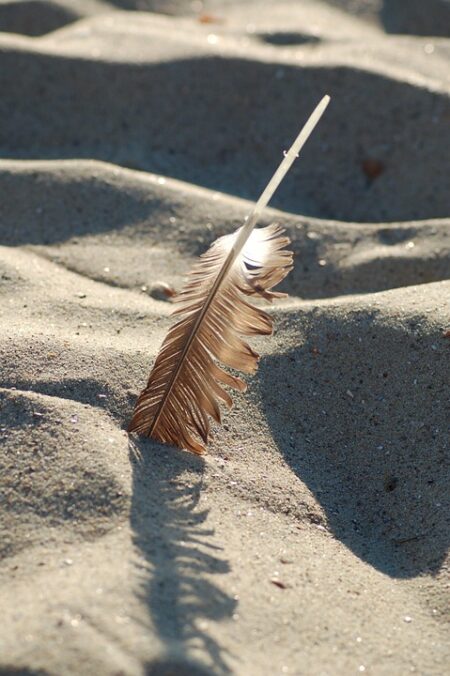 Dutch Centrist D66 Party Secures Victory in Election