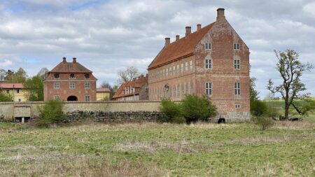 Rasmus Højlund Stuns Fans with Unexpected Reaction After Scotland Defeat Denmark