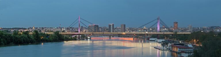 Serbia Proposes Legal Reforms to Enable Potential NIS Takeover, Says Parliament Speaker