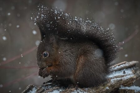 Italy’s Snam Poised to Cancel German Gas Deal Amid Rising Concerns Over China