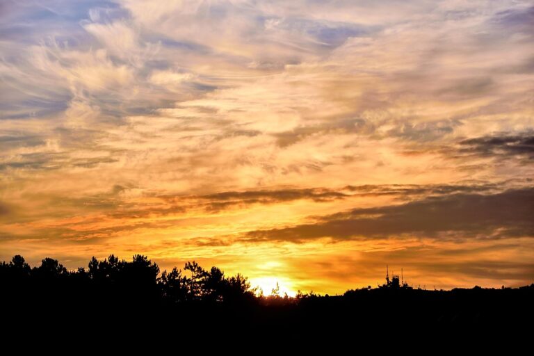 Bulgaria Limits Fuel Exports to EU in Response to Lukoil Sanctions