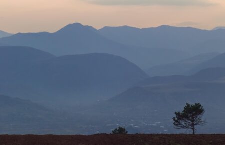 Georgia Southern Gets Creative-and Country-to Boost Athletic Funds in the NIL Era