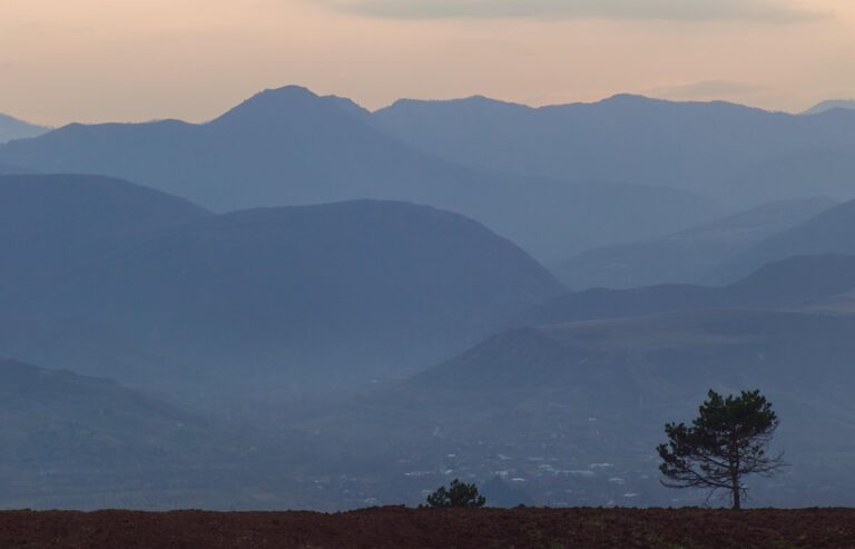 Georgia Southern Gets Creative-and Country-to Boost Athletic Funds in the NIL Era