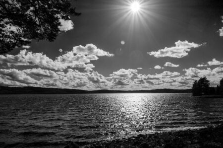 Northwood Esports players qualify for Overwatch World Finals in Sweden – Midland Daily News