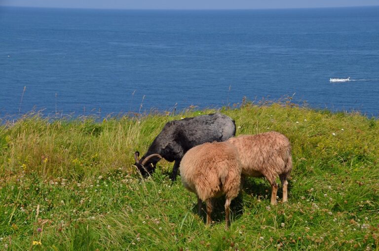 EIB Expands Presence with New Office Opening in North Macedonia