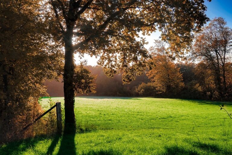 Expat stories: Mike McQuaide: An American in Luxembourg – RTL Today