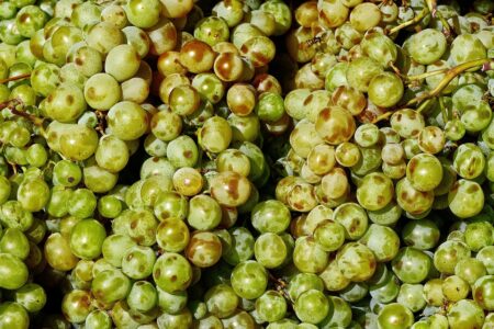 Latvia to Expand Mandatory Third-Party Liability Insurance for More Electric Vehicles