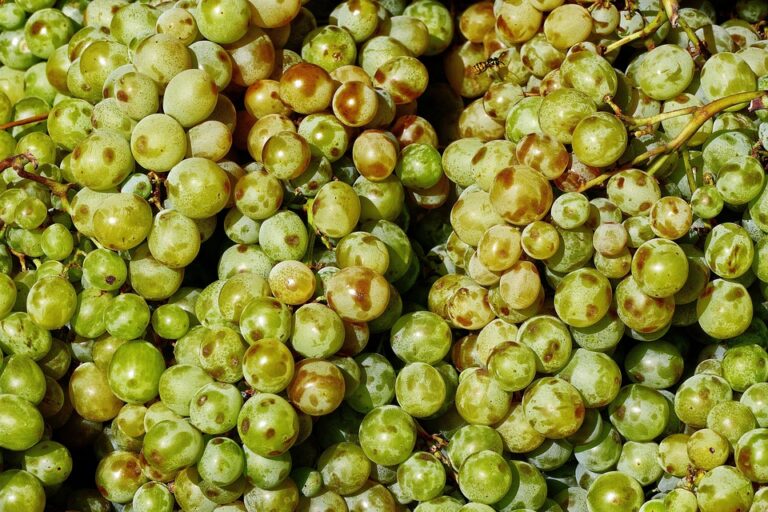 Latvia to Expand Mandatory Third-Party Liability Insurance for More Electric Vehicles