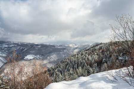 Bosnia and Herzegovina’s Remarkable Horse Whisperer