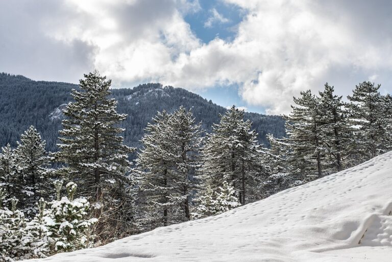 Assessing Bosnia and Herzegovina’s Reform Agenda for Private Sector Development – OECD