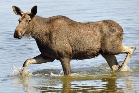 Vilnius Airport Temporarily Closes Following Airspace Disruption