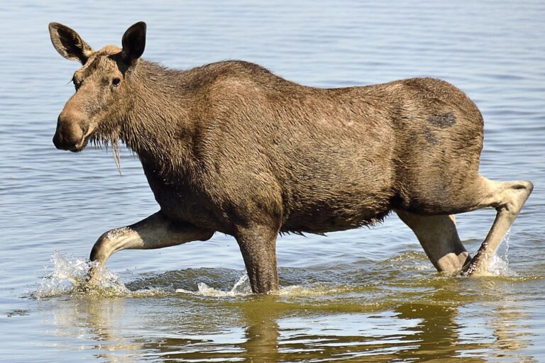 Vilnius Airport Temporarily Closes Following Airspace Disruption