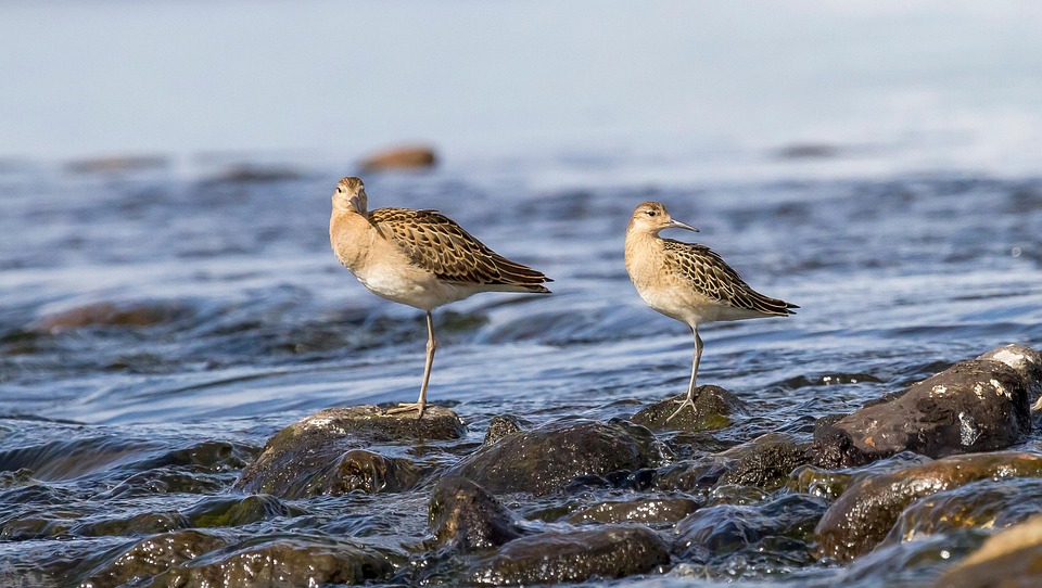 Finland Holds Onto Happiness Crown Despite Growing Economic Challenges